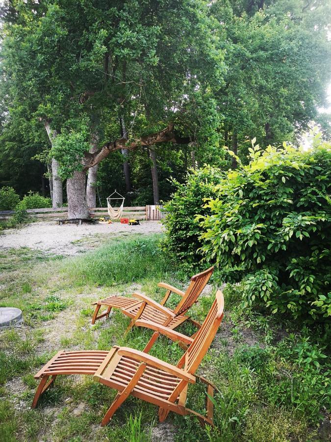 Gaestehaus Maria Rast Suderburg Екстериор снимка